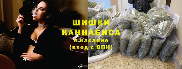 спиды Богданович